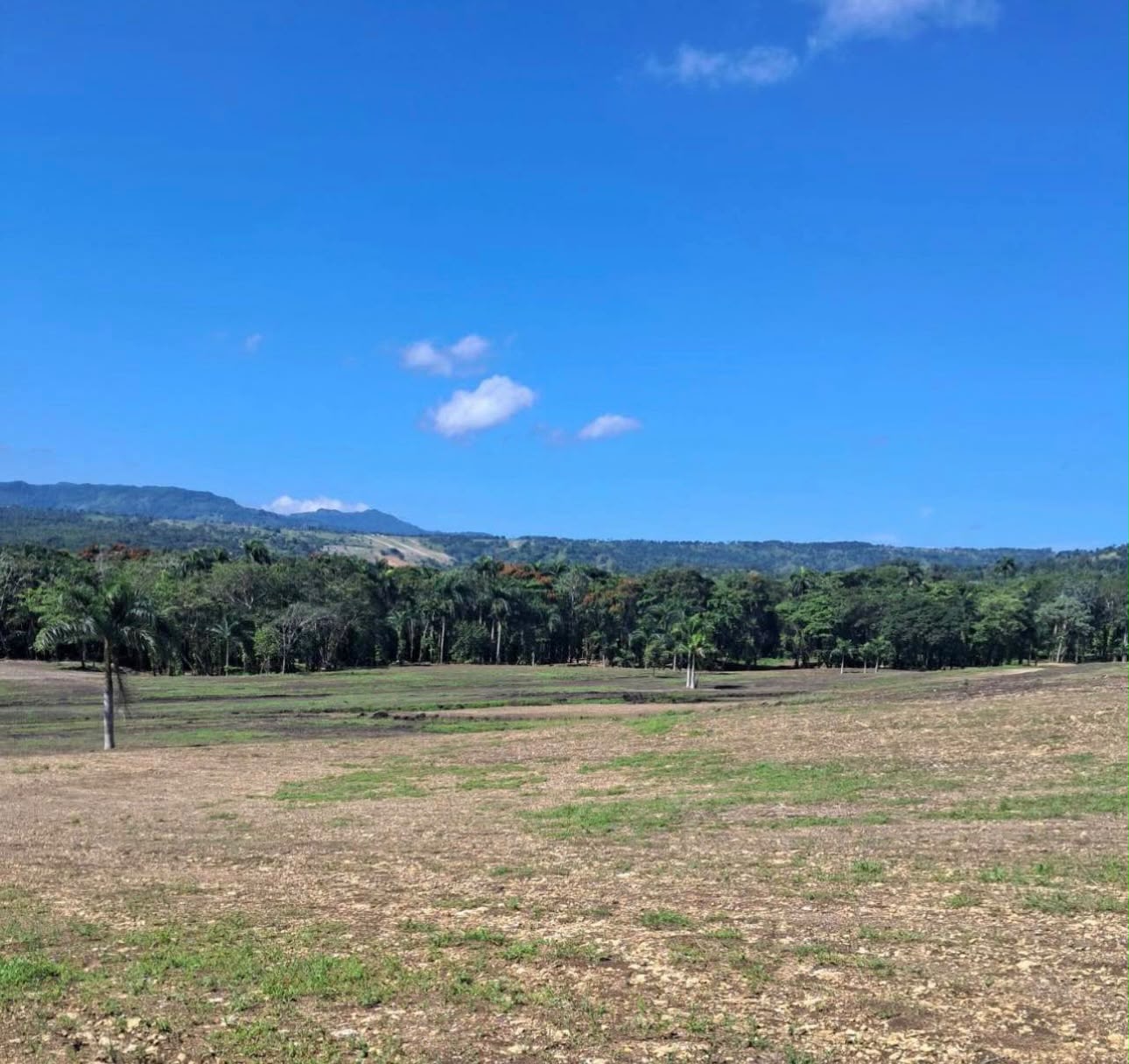 colinas del valle puerto plata